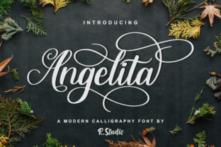 Angelita: A Modern Script Font for Editorial Elegance