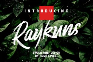 Raykuns: A Script That Earns Its Space