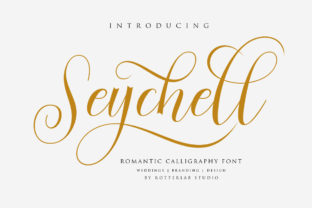 Seychell: A Refined Script for Real Brand Work