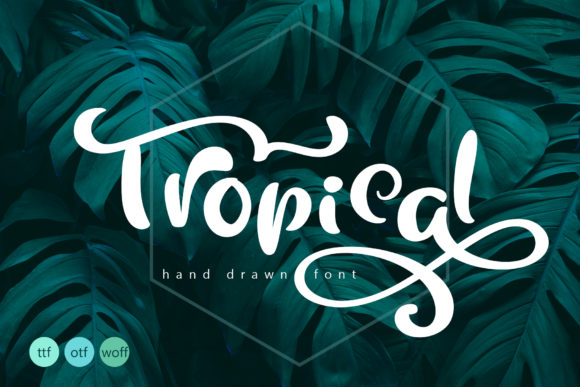 Tropical Typeface: A Handmade Script Font for Digital Charm